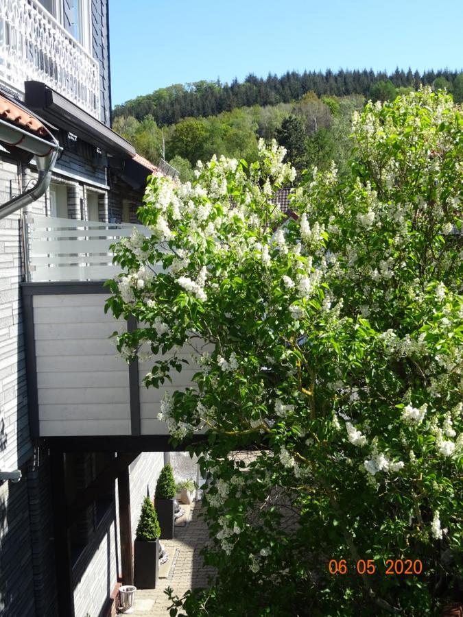 Fewo Hage Langelsheim Eksteriør billede